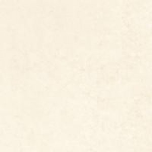 Gạch Trường Thịnh LIFESTONE BE66151